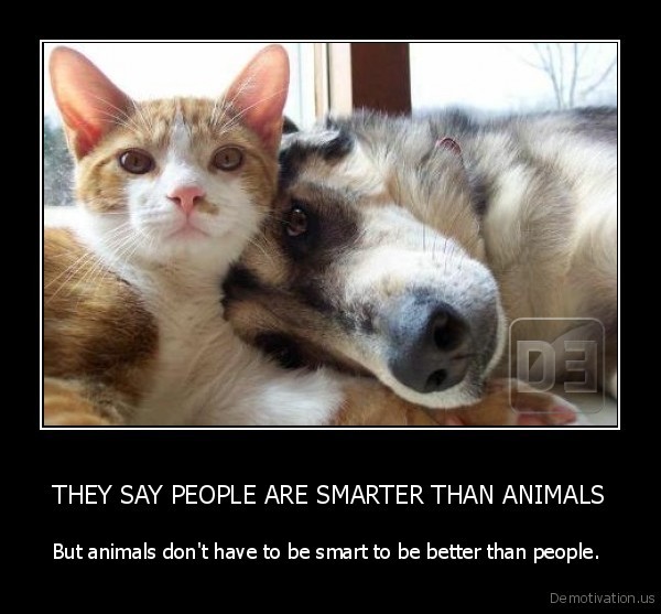 demotivation-us_they-say-people-are-smarter-than-animals-but-animals-dont-have-to-be-smart-to-be-better-than-people-_134238251246.jpg